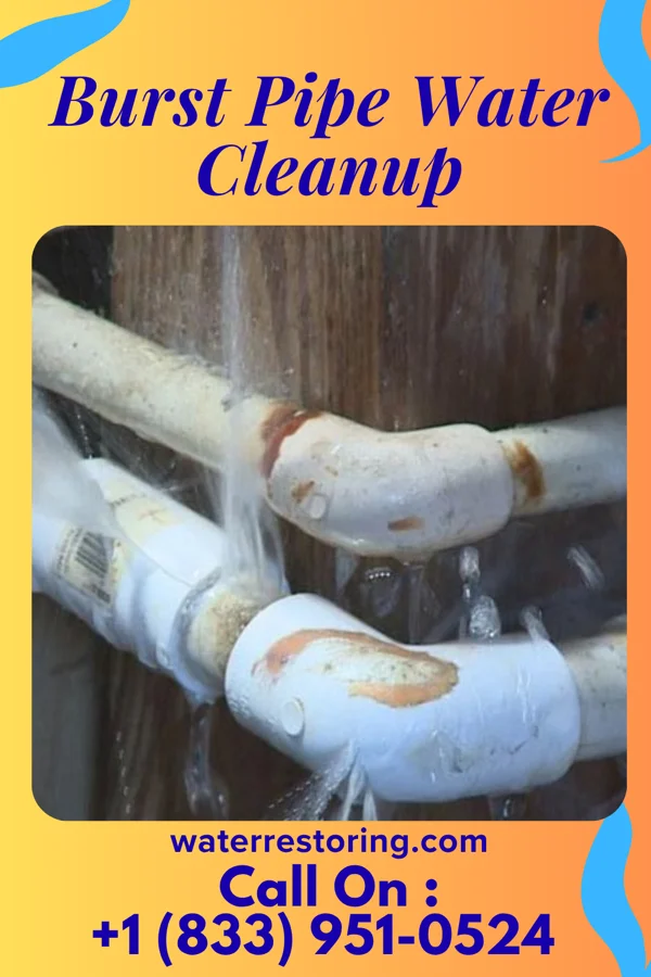 Burst Pipe Water Cleanup in Chackbay, LA