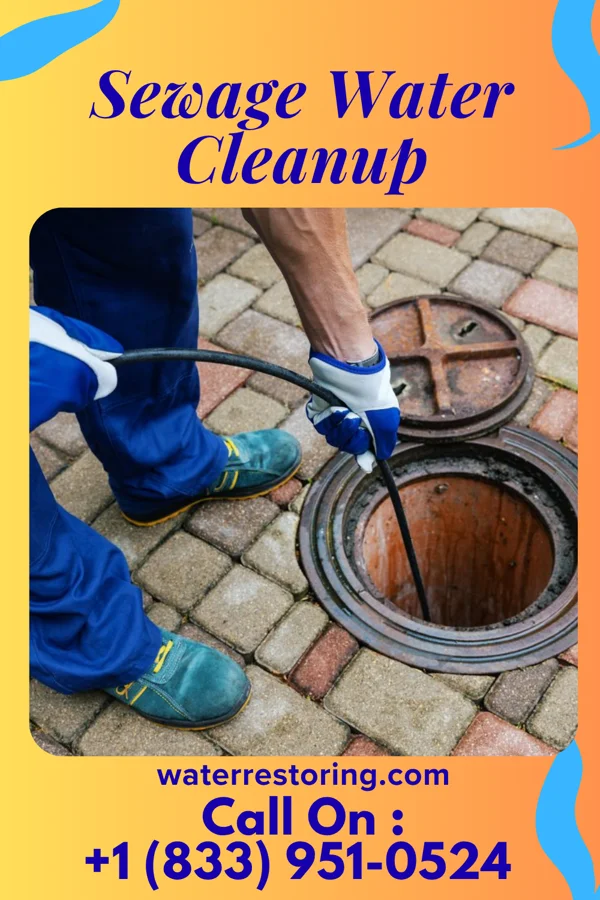 Sewage Water Cleanup in Chackbay, LA